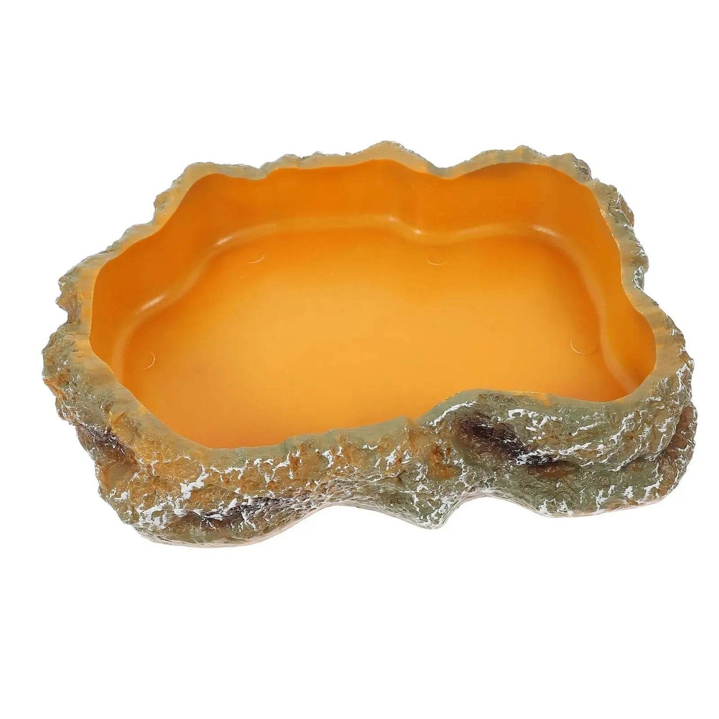 Bols d'eau pour reptiles, plaque de Terrarium, mangeoire pour amphibiens, grenouille, caméléon, tortue, Dragon barbu, tortue - Animaleriex