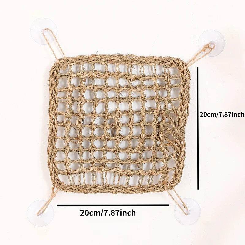 Hamac Dragon barbu pour reptiles, chaise longue pour caméléon, lézards, Gecko, serpents, Lguana, coussin d'herbe, balançoire pour animal de compagnie - Animaleriex