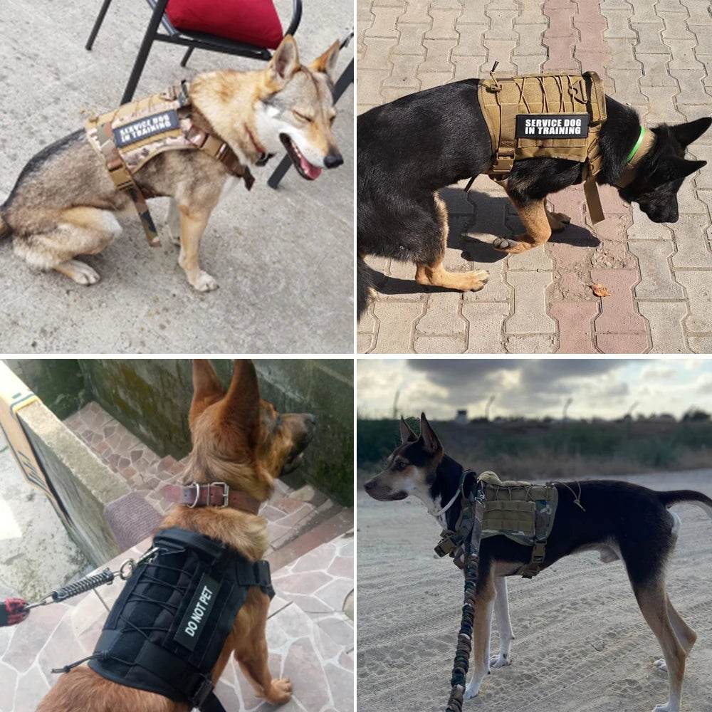Harnais tactique pour chien, gilet d'entraînement pour animaux de compagnie, harnais militaire pour chien, collier de laisse pour petits, moyens et grands chiens, marche et chasse - Animaleriex