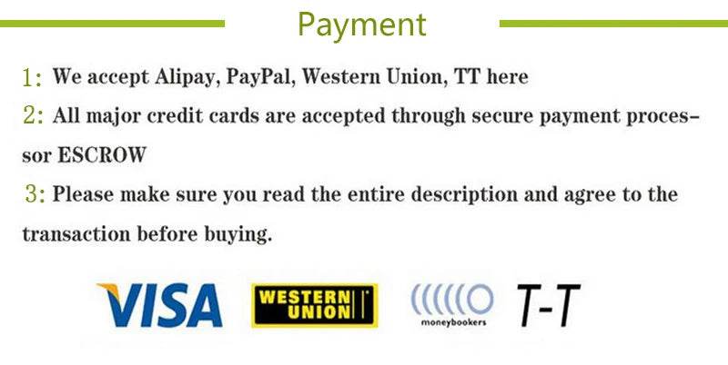 Aquarium artificiel lumineux, poisson-lion, paysage en Silicone, faux poisson flottant, lueur dans la nuit, ornement, décoration de la maison - Animaleriex
