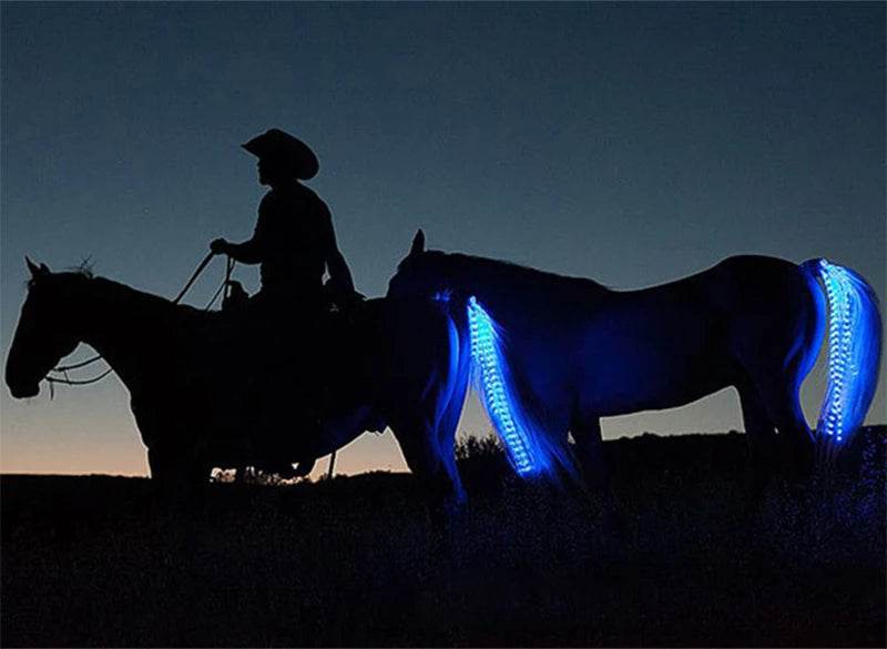 Accessoires de queue de cheval pour équitation, barre lumineuse clignotante LED, équipement de harnais pour Sports de plein air, Charge USB, décorations sûres pour l'équitation de nuit - Animaleriex