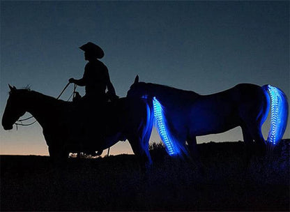Accessoires de queue de cheval pour équitation, barre lumineuse clignotante LED, équipement de harnais pour Sports de plein air, Charge USB, décorations sûres pour l'équitation de nuit - Animaleriex