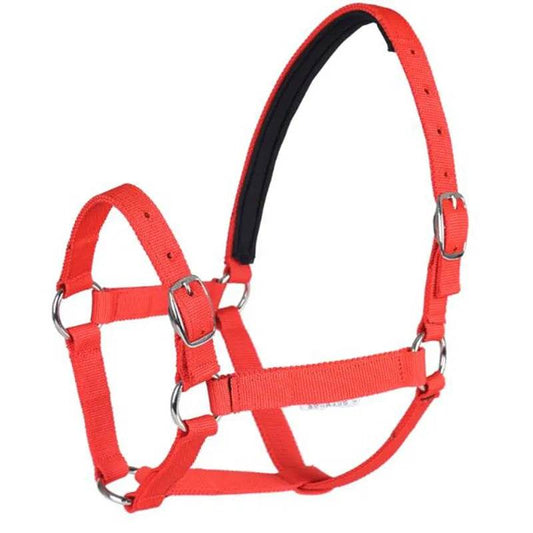 Cavassion usine directement vente Anti-friction protégeant la peau de cheval bride équitation Halter8218001 - Animaleriex