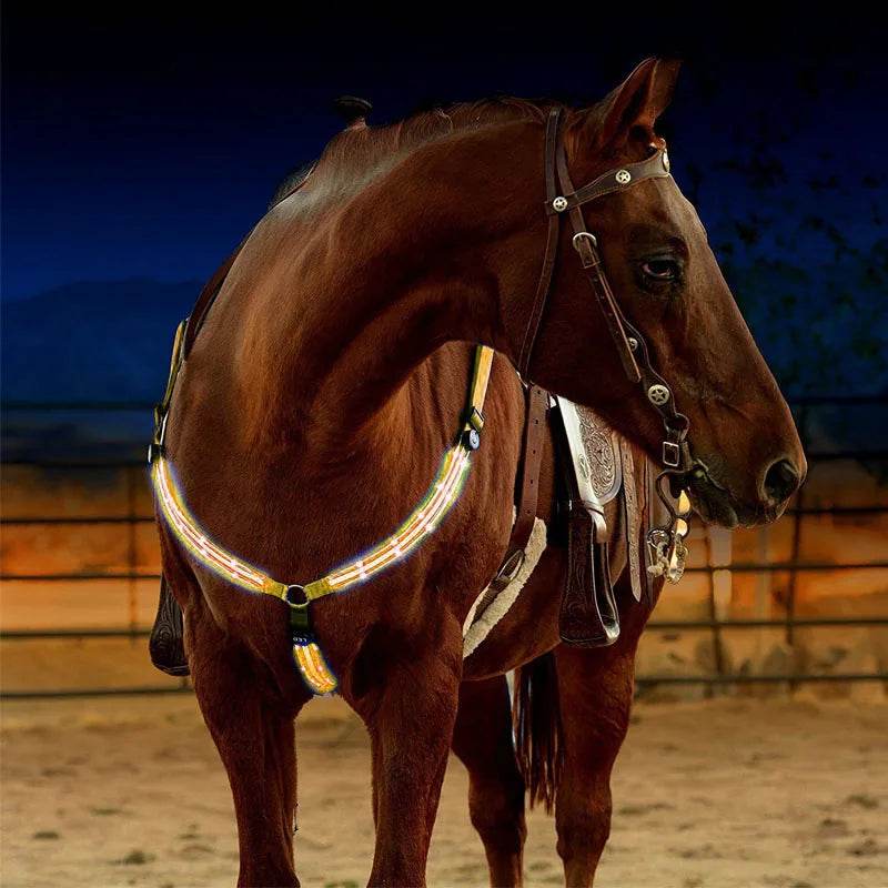 Sangles de poitrine de cheval LED 100CM, décoration d'équitation, Tubes lumineux, licou de selle équestre, produits de soins pour chevaux - Animaleriex