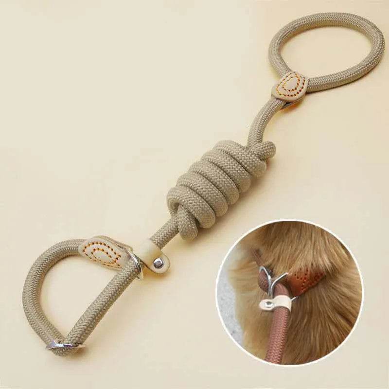 Laisse pour chien, corde coulissante, laisse en plomb, corde tressée robuste, collier à boucle réglable, laisse d'entraînement pour chiens de taille moyenne et grande - Animaleriex
