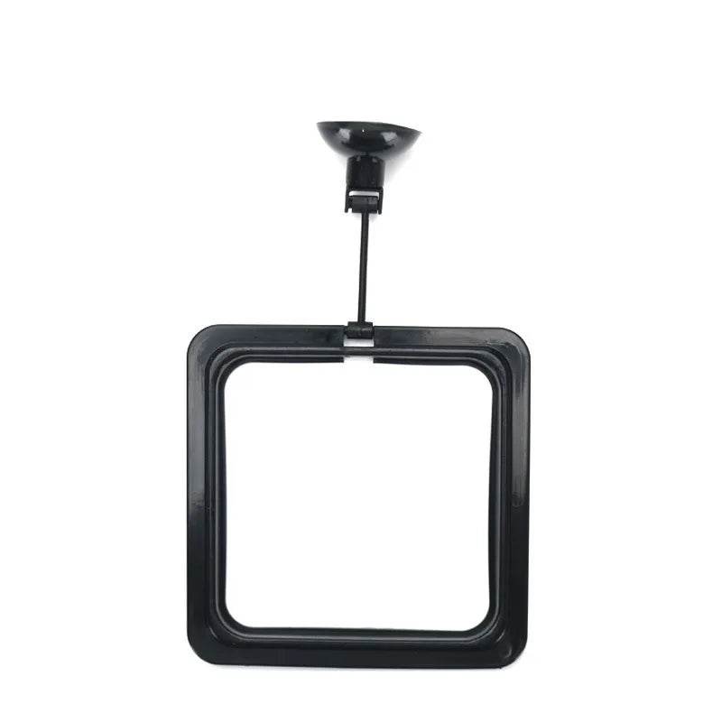 Anneau d'alimentation pour poissons d'aquarium, équipé de ventouses, Portable, circulaire et carré, mangeoire pour animaux aquatiques, outils d'alimentation pour Aquarium - Animaleriex
