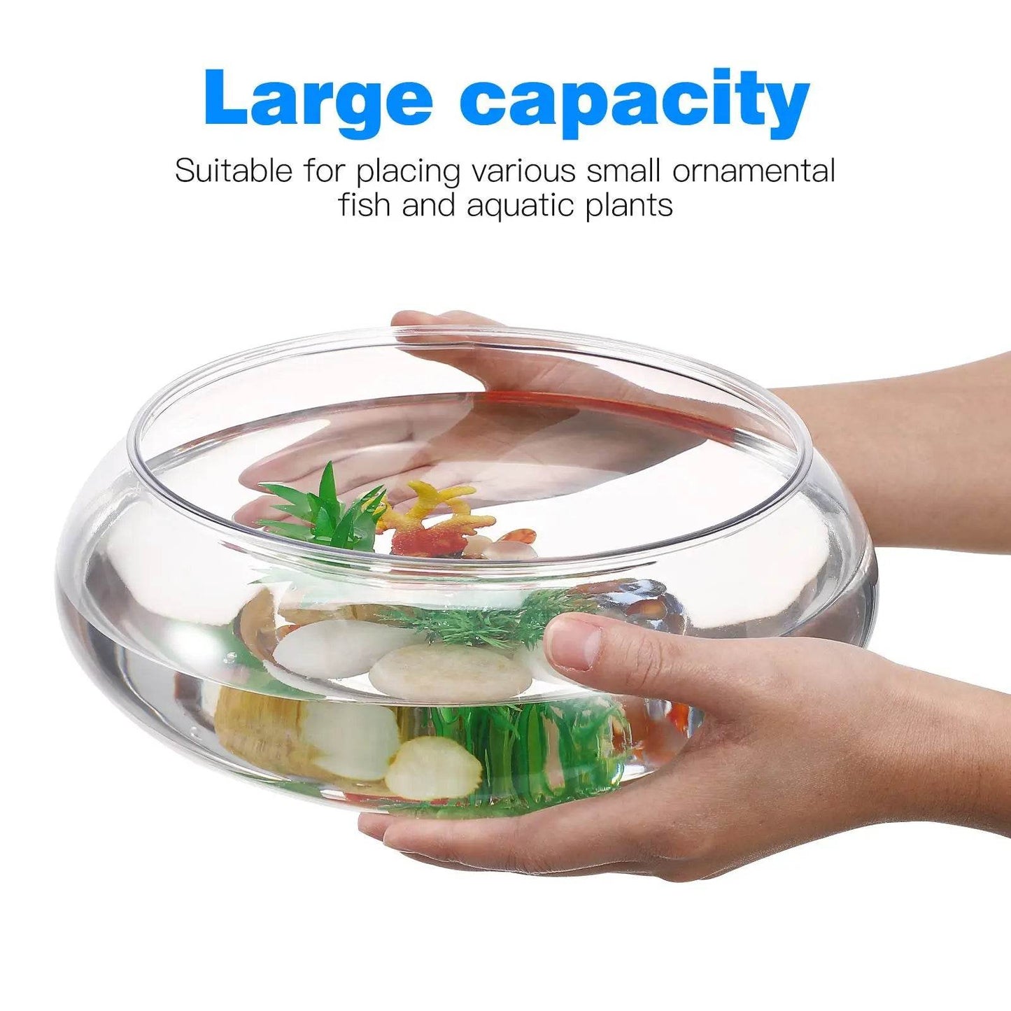 Réservoir de poisson Transparent en plastique, réservoir de poisson rouge Betta multifonction, récipient hydroponique, réservoir de bureau, décors de bureau et de maison - Animaleriex