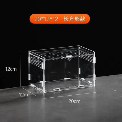 Boîte d'élevage de Terrarium pour reptiles, boîtier en acrylique, boîtier Nano arboricole pour tarentule, araignée, Scorpion, Dragon barbu - Animaleriex