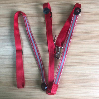 Sangles de poitrine de cheval LED 100CM, décoration d'équitation, Tubes lumineux, licou de selle équestre, produits de soins pour chevaux - Animaleriex