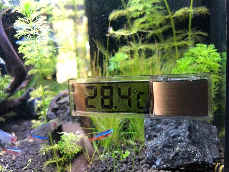 Thermomètre électronique LCD numérique pour Aquarium, mesure de la température du réservoir de poisson, accessoires d'aquarium - Animaleriex