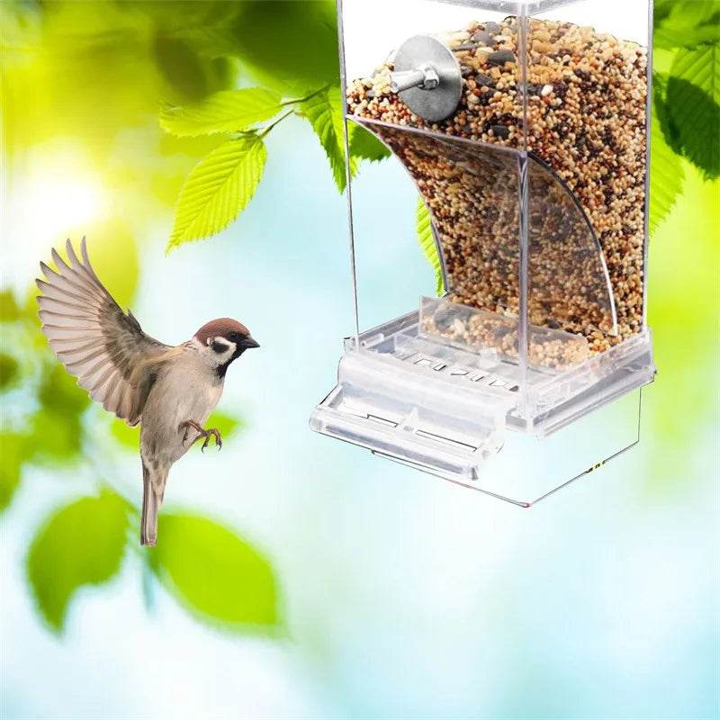 Mangeoires automatiques pour oiseaux, sans gâchis, pour perroquets, conteneur de nourriture en acrylique, accessoires de Cage pour petites et moyennes perruches - Animaleriex