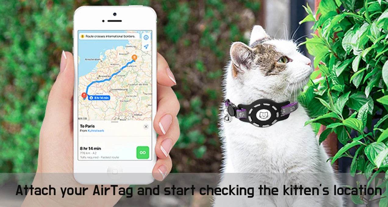 Collier pour chat AirTag avec cloches, collier pour chat à boucle de sécurité avec support Airtag, colliers anti-perte pour fille, garçon, chat, chiot - Animaleriex