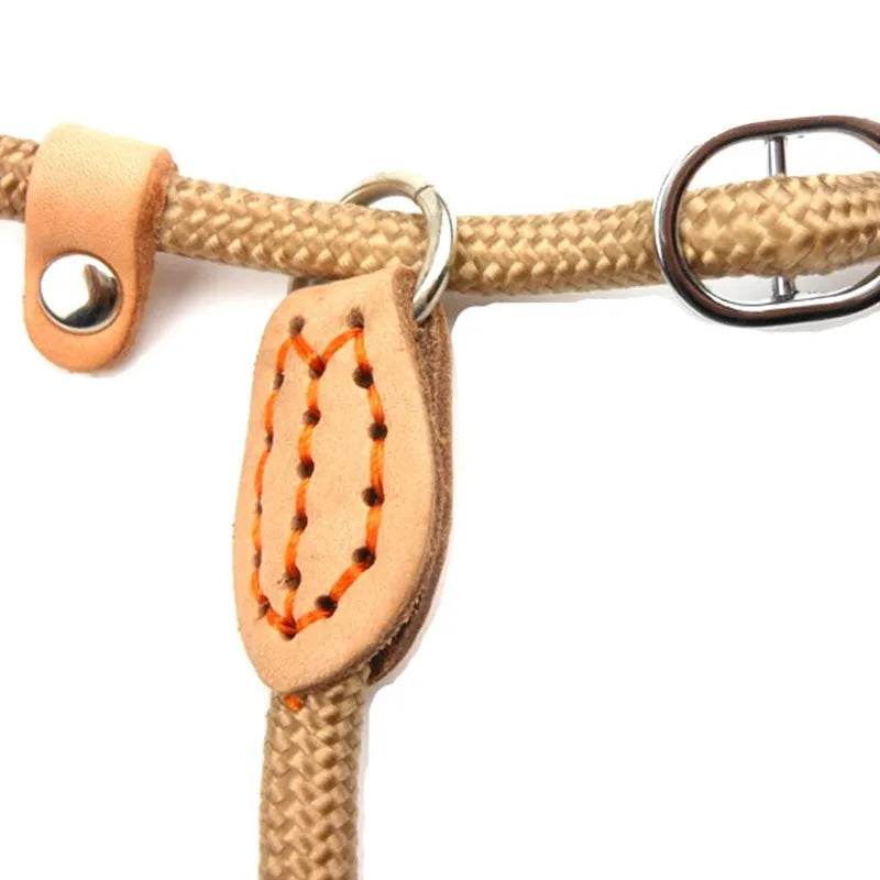 Laisse pour chien, corde coulissante, laisse en plomb, corde tressée robuste, collier à boucle réglable, laisse d'entraînement pour chiens de taille moyenne et grande - Animaleriex