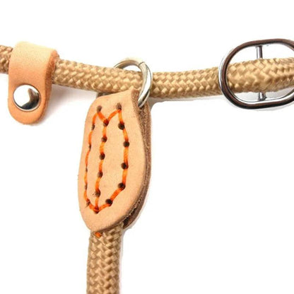 Laisse pour chien, corde coulissante, laisse en plomb, corde tressée robuste, collier à boucle réglable, laisse d'entraînement pour chiens de taille moyenne et grande - Animaleriex
