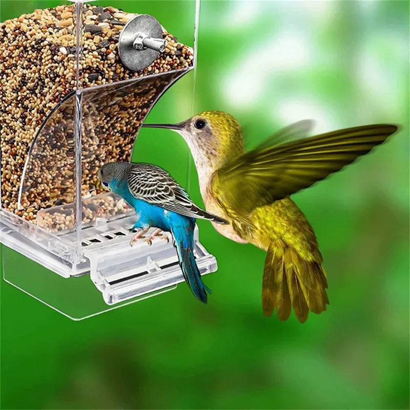 Mangeoires automatiques pour oiseaux, sans gâchis, pour perroquets, conteneur de nourriture en acrylique, accessoires de Cage pour petites et moyennes perruches - Animaleriex