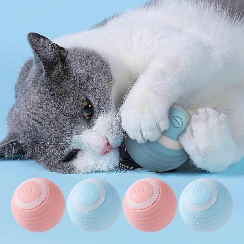 Jouet pour chats à mouvement automatique, balle Interactive, boule électrique roulante Rechargeable, accessoires pour animaux de compagnie, fournitures pour la maison - Animaleriex