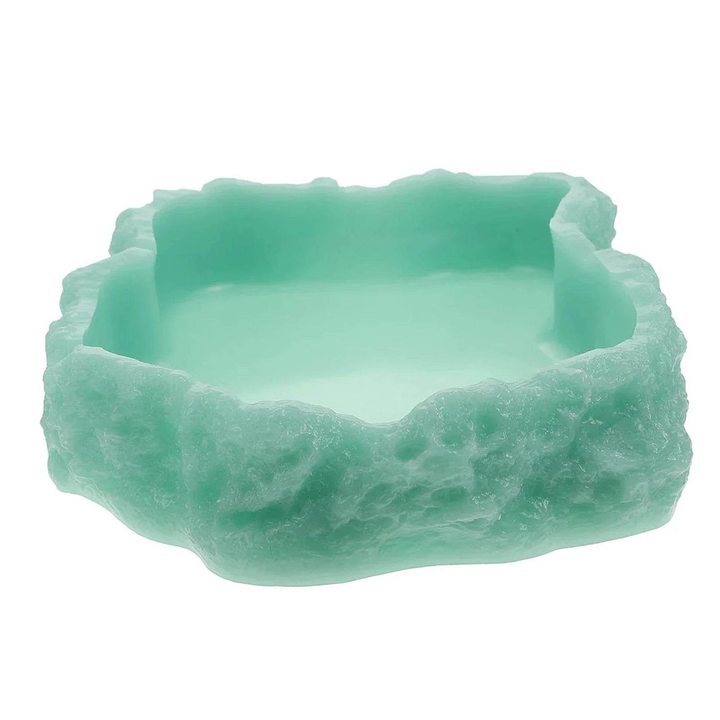 Bols d'eau pour reptiles, plaque de Terrarium, mangeoire pour amphibiens, grenouille, caméléon, tortue, Dragon barbu, tortue - Animaleriex