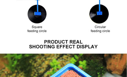 Anneau d'alimentation pour poissons d'aquarium, équipé de ventouses, Portable, circulaire et carré, mangeoire pour animaux aquatiques, outils d'alimentation pour Aquarium - Animaleriex