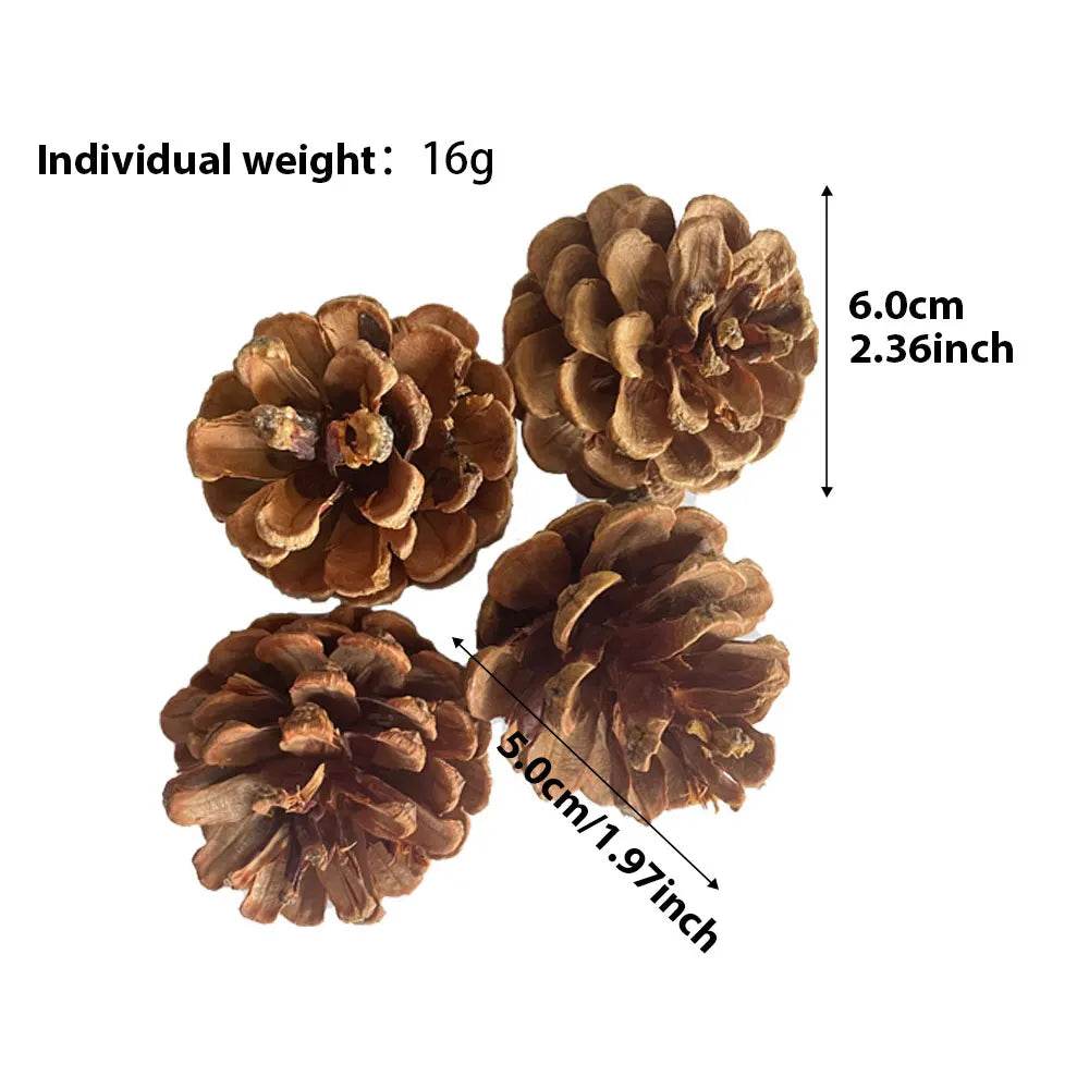 Jouets à mâcher pour petits animaux, pour Ribbit, lapin, Hamster, guinée, Chinchillas, nettoyage des dents, jouets de meulage molaire, fournitures pour animaux de compagnie - Animaleriex