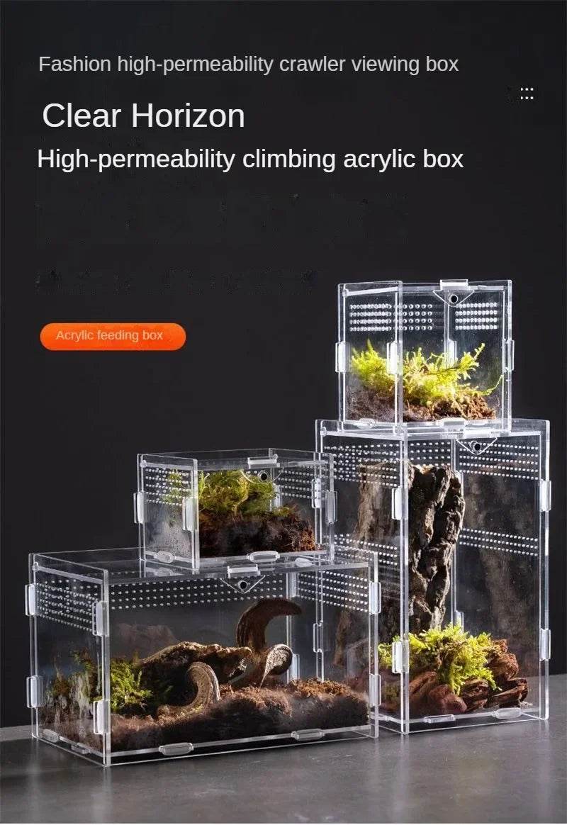 Boîte d'élevage de Terrarium pour reptiles, boîtier en acrylique, boîtier Nano arboricole pour tarentule, araignée, Scorpion, Dragon barbu - Animaleriex
