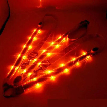 Sangles de poitrine de cheval LED 100CM, décoration d'équitation, Tubes lumineux, licou de selle équestre, produits de soins pour chevaux - Animaleriex