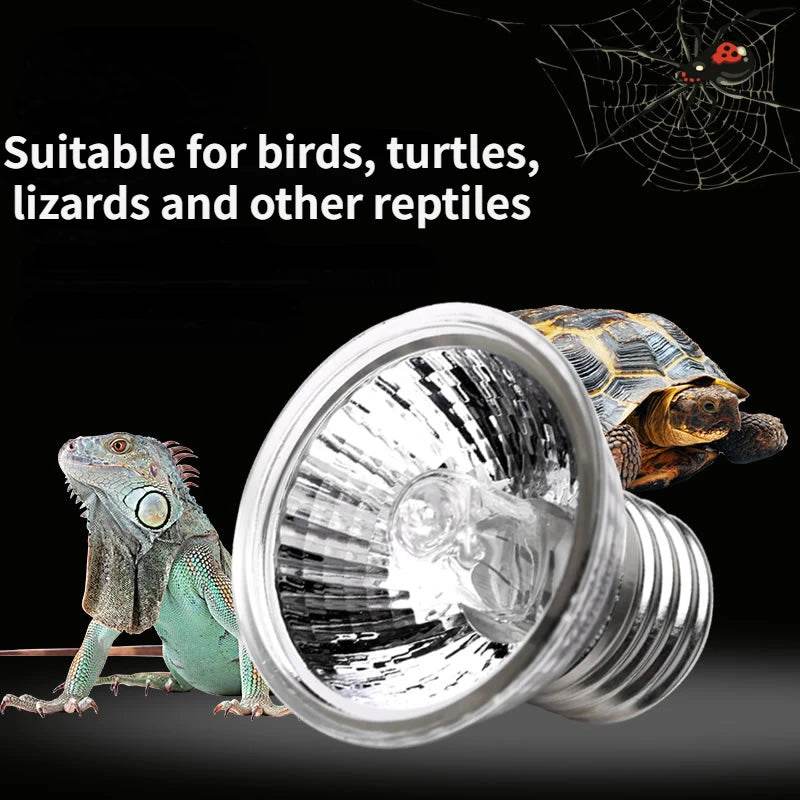 Ampoule halogène 50 W incluse, lampe chauffante pour reptiles, col de cygne réglable, lampes chauffantes pour réservoir d'aquarium, tortue, lézard, serpent, Terrarium - Animaleriex