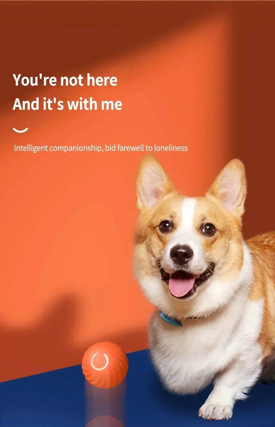 Balle électronique Interactive pour animaux de compagnie, jouet interactif pour chien, intelligent, mobile, saut par gravité, produits pour animaux de compagnie, Rechargeable - Animaleriex