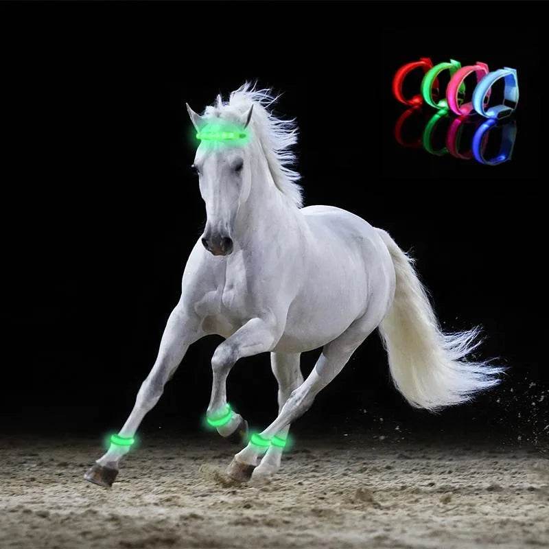 4 pièces/ensemble éclairage LED ceinture de sécurité pour jambe de cheval sangles de jambe de cheval équipement d'équitation de nuit Sports de plein air fournitures équestres - Animaleriex