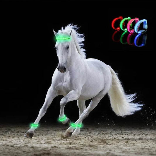 4 pièces/ensemble éclairage LED ceinture de sécurité pour jambe de cheval sangles de jambe de cheval équipement d'équitation de nuit Sports de plein air fournitures équestres - Animaleriex