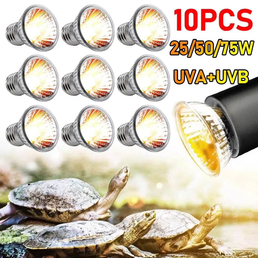 1-10 pièces 25/50/75W UVA + UVB lampe Reptile ampoule tortue se prélasser UV ampoules lumière chauffante spectre complet lampe solaire pour amphibiens - Animaleriex