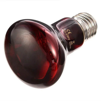 Lampe chauffante rouge amphibie UVA 220V, 25/40/50/60/75/100W, lampe infrarouge, ampoule en verre, accessoires pour Reptiles, serpents, lézards - Animaleriex
