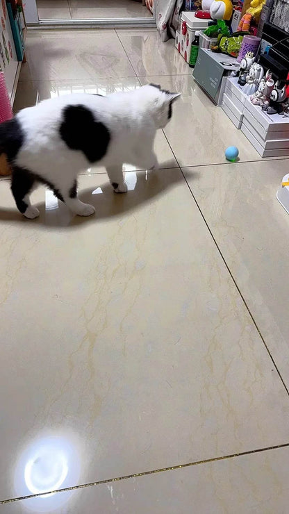 Balle Interactive pour chat, jouets intelligents pour animaux de compagnie, boule magique à roulement automatique d'intérieur, jouet interactif électronique, accessoires de jeu pour chat - Animaleriex
