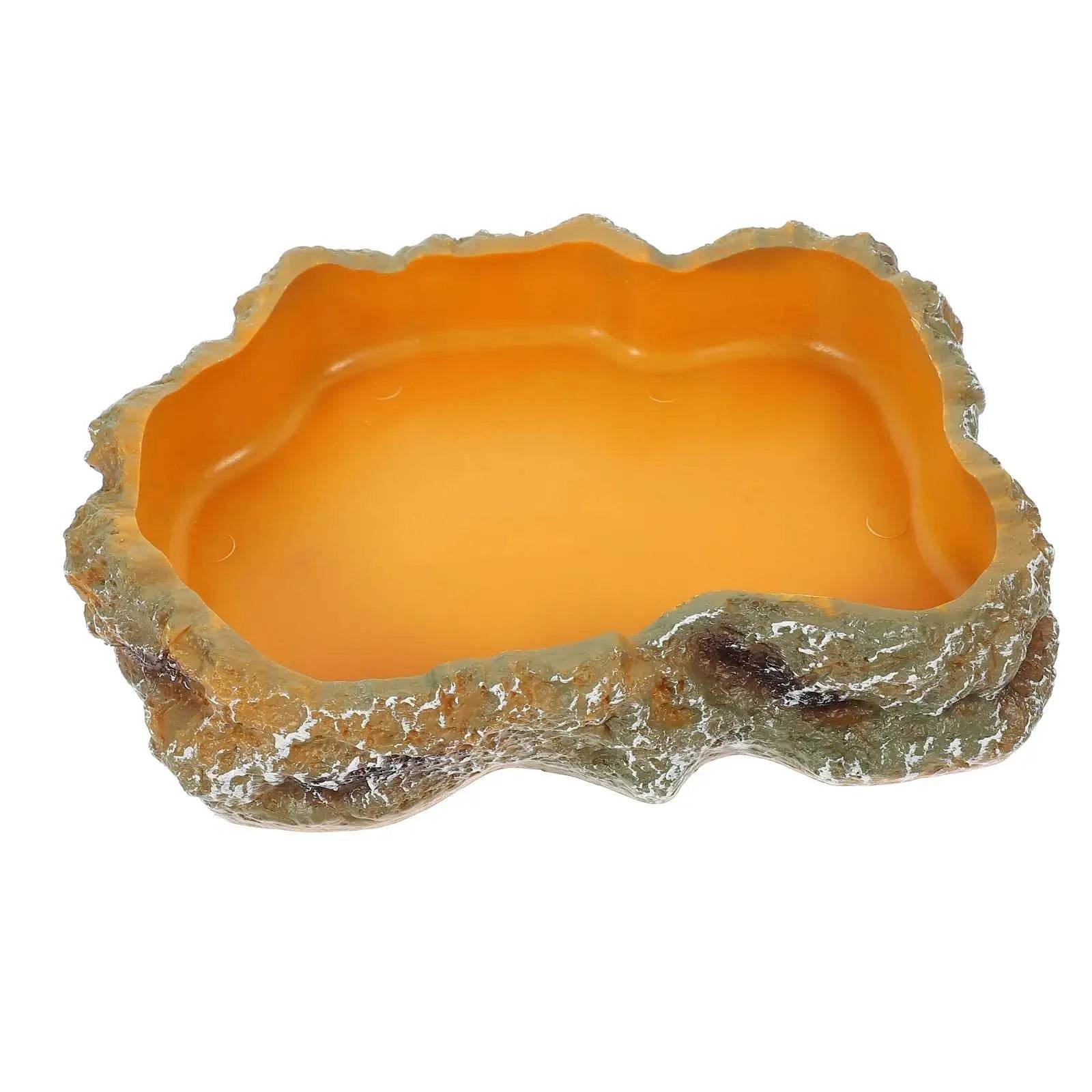 Bols d'eau pour reptiles, plaque de Terrarium, mangeoire pour amphibiens, grenouille, caméléon, tortue, Dragon barbu, tortue - Animaleriex