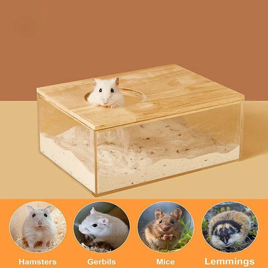 Hamster salle de bain maison bac à sable entièrement Transparent Urine sable bassin ours doré fournitures sable bain conteneur petite salle de bain pour animaux de compagnie - Animaleriex