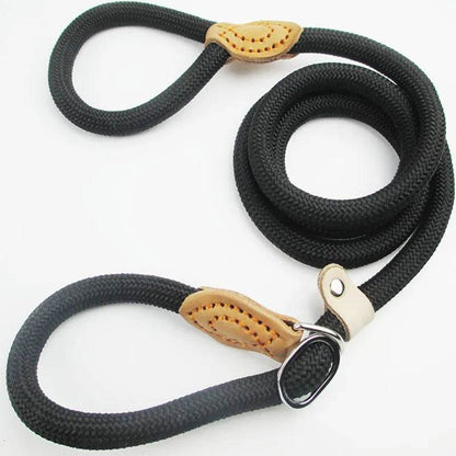 Laisse pour chien, corde coulissante, laisse en plomb, corde tressée robuste, collier à boucle réglable, laisse d'entraînement pour chiens de taille moyenne et grande - Animaleriex