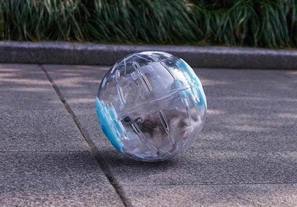 Balle de Sport en plastique en plein air pour Rat, petite souris pour animaux de compagnie, balle de Jogging, jouet Hamster gerbille, balle d'exercice, jouet de jeu, fournitures pour petits animaux de compagnie - Animaleriex