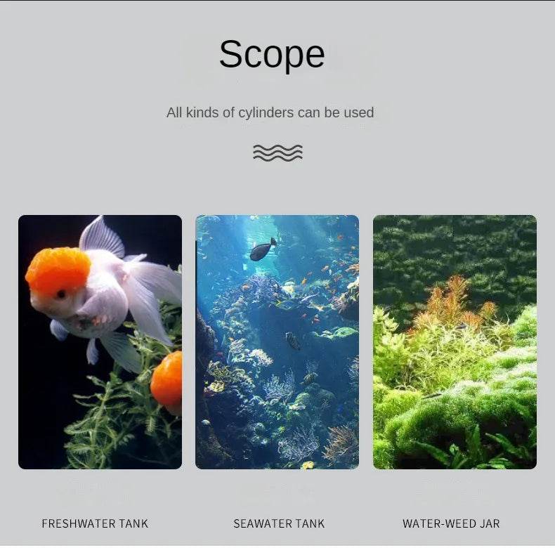 Thermomètre électronique LCD numérique pour Aquarium, mesure de la température du réservoir de poisson, accessoires d'aquarium - Animaleriex