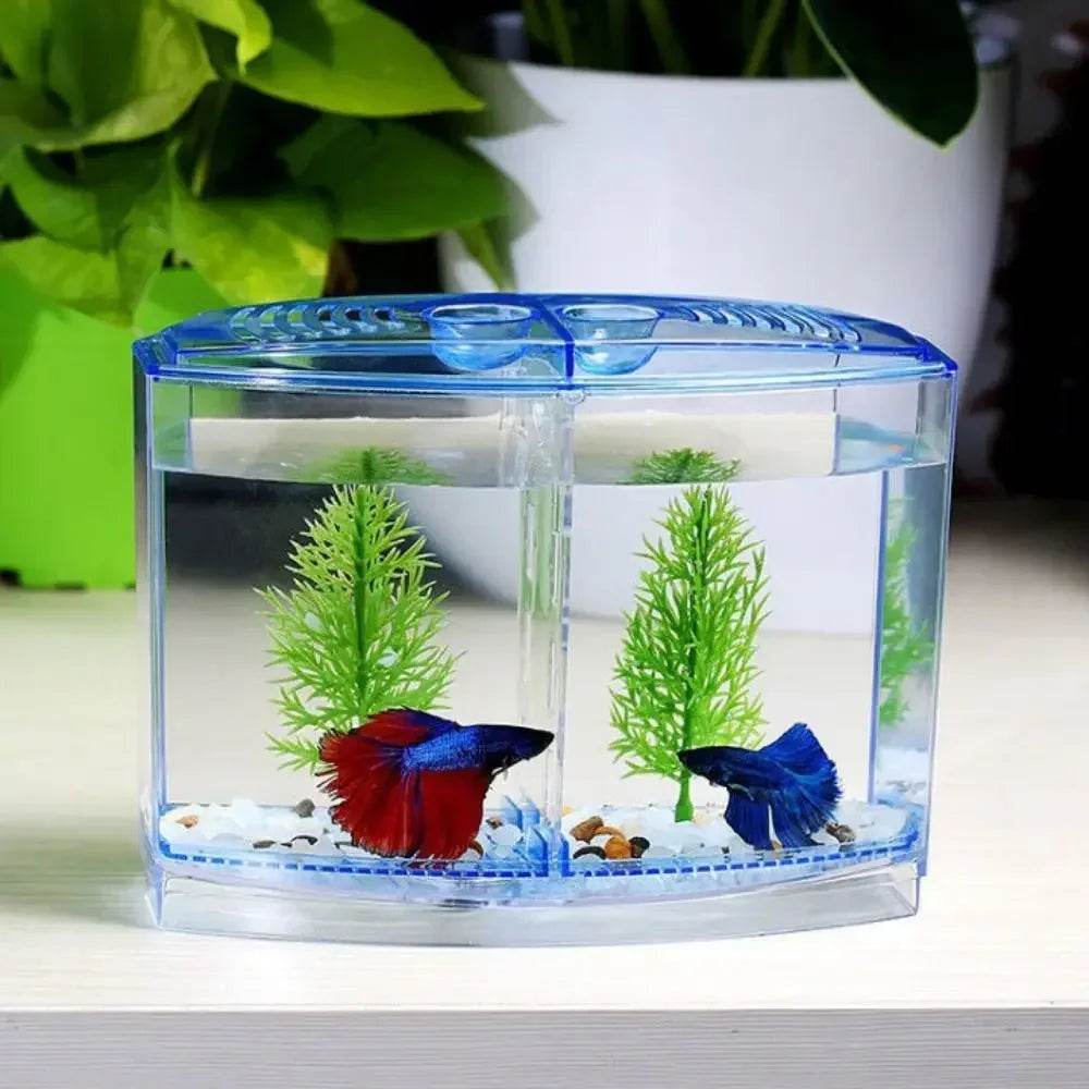 Aquarium Betta Transparent avec herbe aquatique, boîte d'isolation Betta en plastique à Double grille, grille simple et Double - Animaleriex
