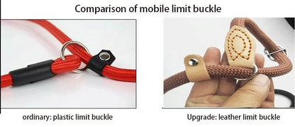 Laisse pour chien, corde coulissante, laisse en plomb, corde tressée robuste, collier à boucle réglable, laisse d'entraînement pour chiens de taille moyenne et grande - Animaleriex