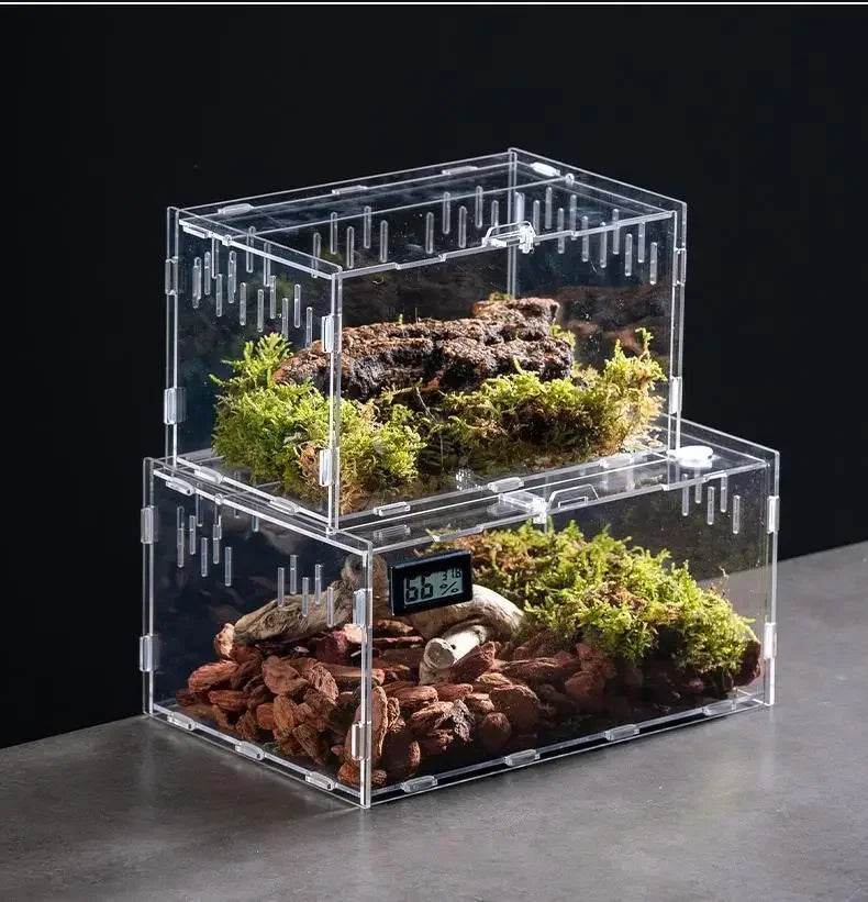 Boîte d'élevage de Terrarium pour reptiles, boîtier en acrylique, boîtier Nano arboricole pour tarentule, araignée, Scorpion, Dragon barbu - Animaleriex
