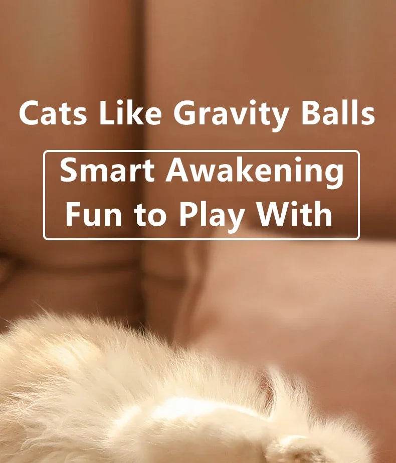 Balle Interactive pour chat, jouets intelligents pour animaux de compagnie, boule magique à roulement automatique d'intérieur, jouet interactif électronique, accessoires de jeu pour chat - Animaleriex
