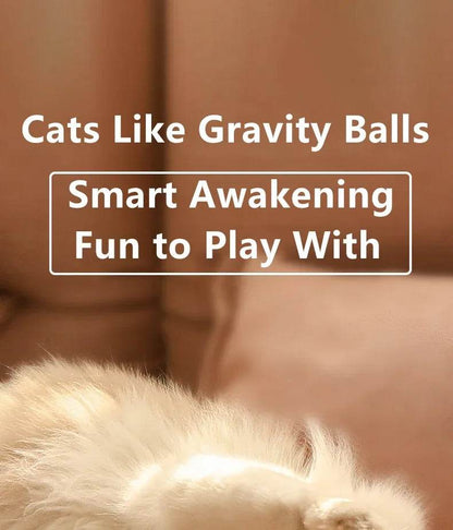 Balle Interactive pour chat, jouets intelligents pour animaux de compagnie, boule magique à roulement automatique d'intérieur, jouet interactif électronique, accessoires de jeu pour chat - Animaleriex