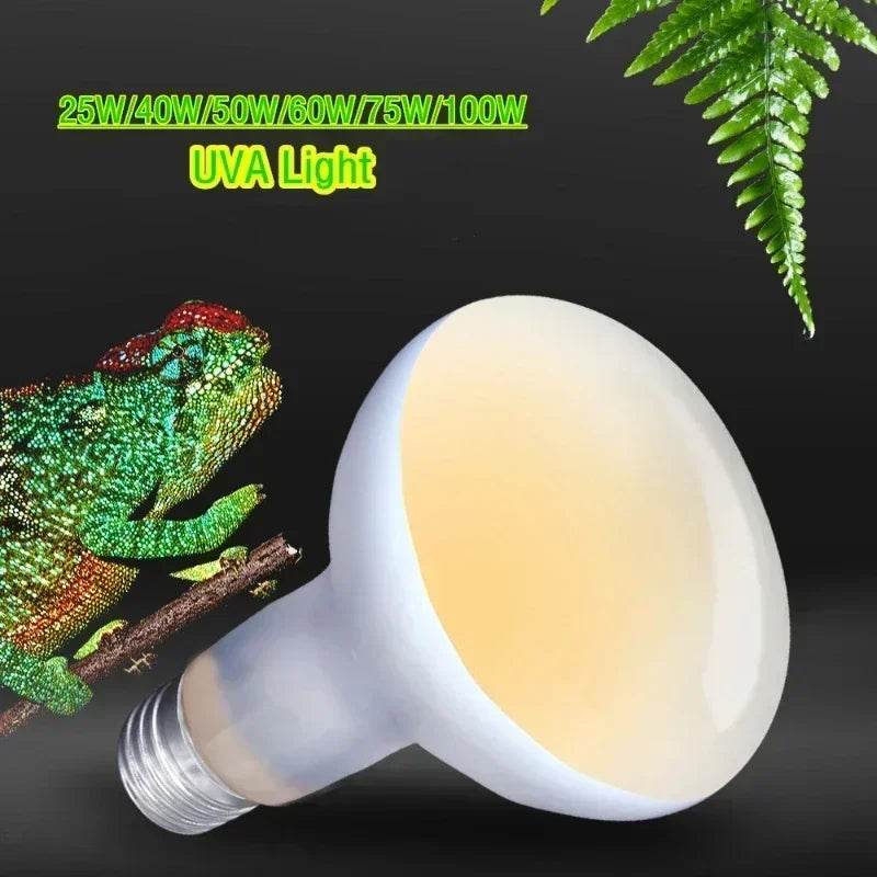 25W-100W Reptile UVA + UVB lampe ampoule tortue se prélasser UV ampoules lampe chauffante tortue lézards Terrarium régulateur de température - Animaleriex