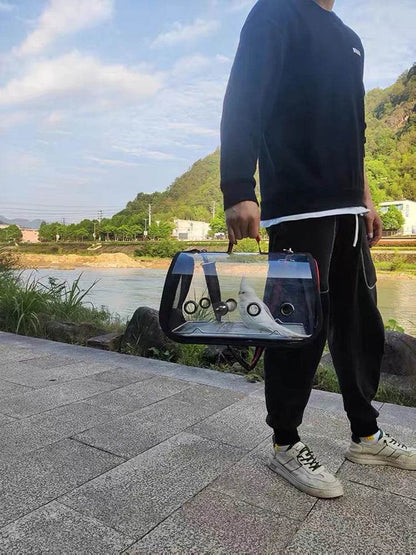 Cage de Transport pour oiseaux, transporteur de voyage avec perche, espace respirant, sac à dos de sortie pour perroquet, sac multifonctionnel pour oiseaux en plein air - Animaleriex
