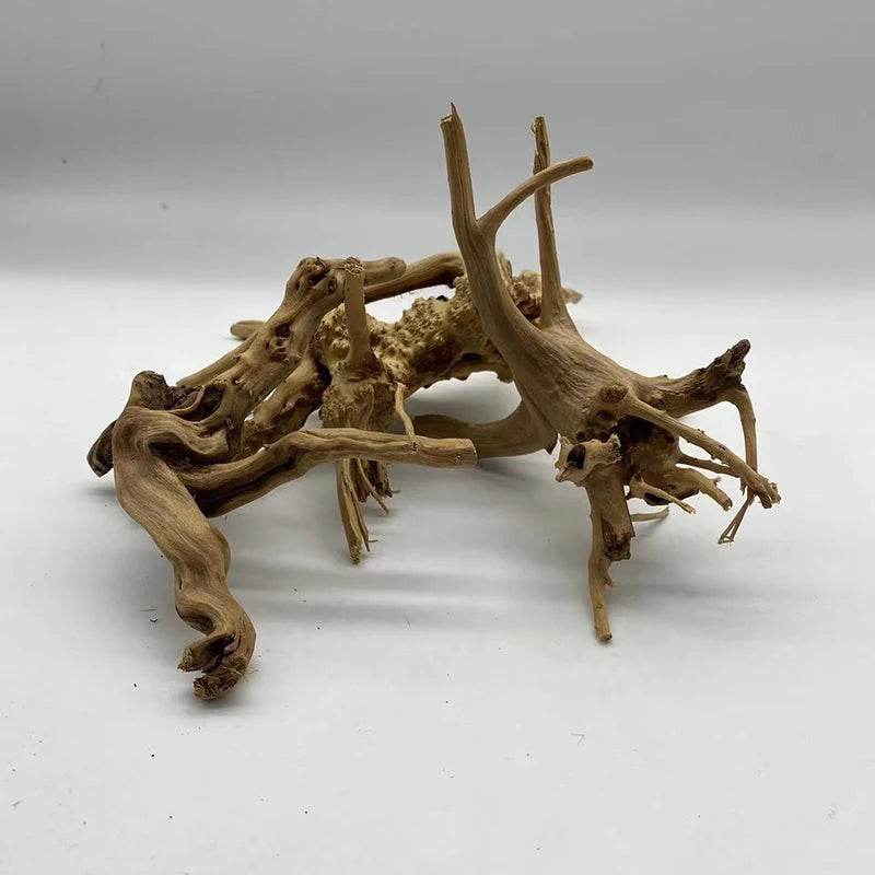 Tronc d'arbre naturel bois flotté Aquarium Aquarium plante bois décoration ornement Aquarium décoration Aquarium accessoires - Animaleriex