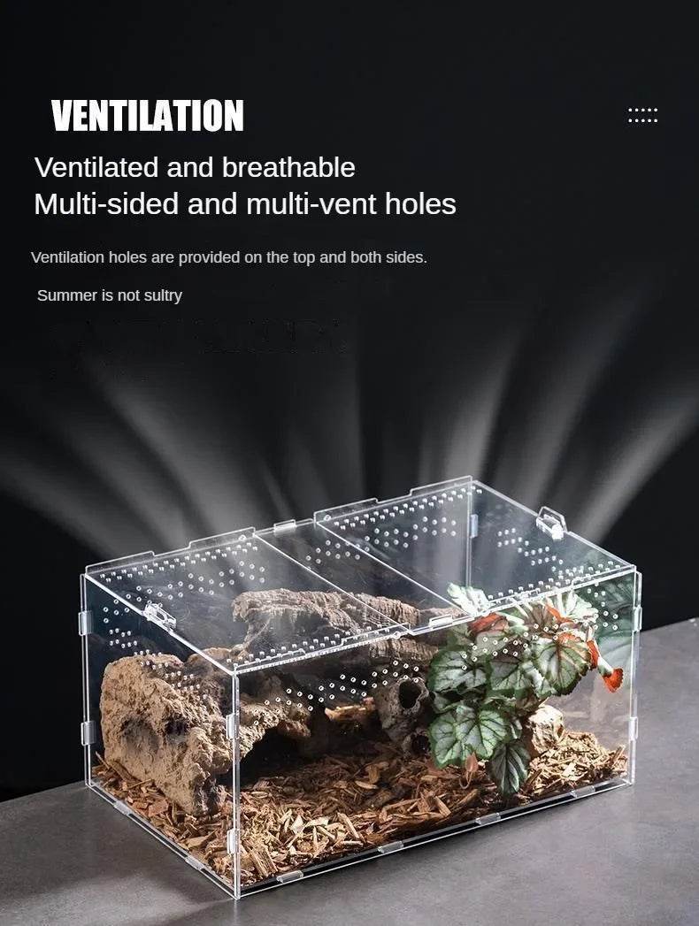 Boîte d'élevage de Terrarium pour reptiles, boîtier en acrylique, boîtier Nano arboricole pour tarentule, araignée, Scorpion, Dragon barbu - Animaleriex
