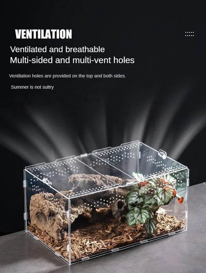 Boîte d'élevage de Terrarium pour reptiles, boîtier en acrylique, boîtier Nano arboricole pour tarentule, araignée, Scorpion, Dragon barbu - Animaleriex