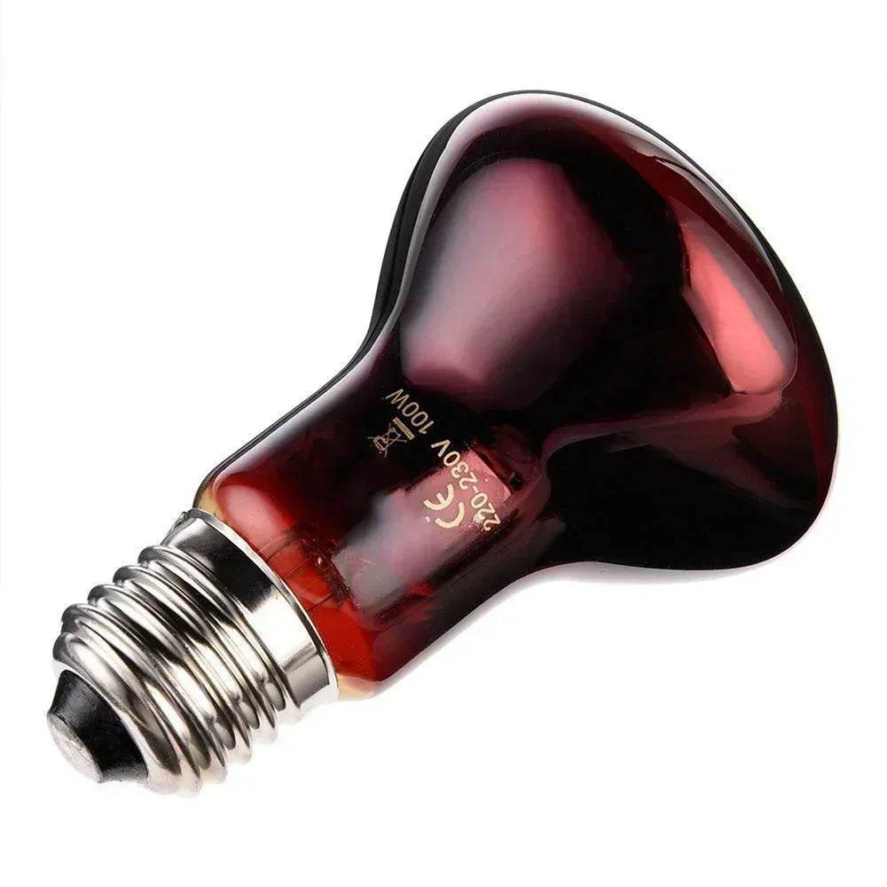 Lampe chauffante rouge amphibie UVA 220V, 25/40/50/60/75/100W, lampe infrarouge, ampoule en verre, accessoires pour Reptiles, serpents, lézards - Animaleriex