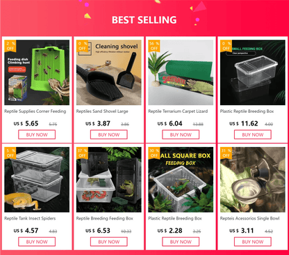 Cage d'élevage de reptiles en plastique transparent, vivariums avec balcon, fournitures de lézard, bivarium pour insectes, araignées, tortues - Animaleriex