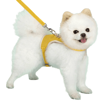 Ensemble de laisse de harnais pour animaux de compagnie, mignon, pour petits chiens de taille moyenne, chat, laisse de marche, Chihuahua, lapin, gilet, harnais, collier de caniche, accessoires pour chiens - Animaleriex